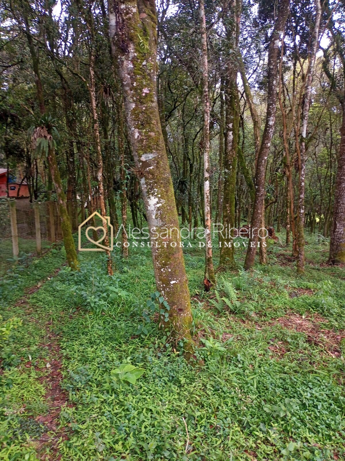 IMG-20221013-WA0098