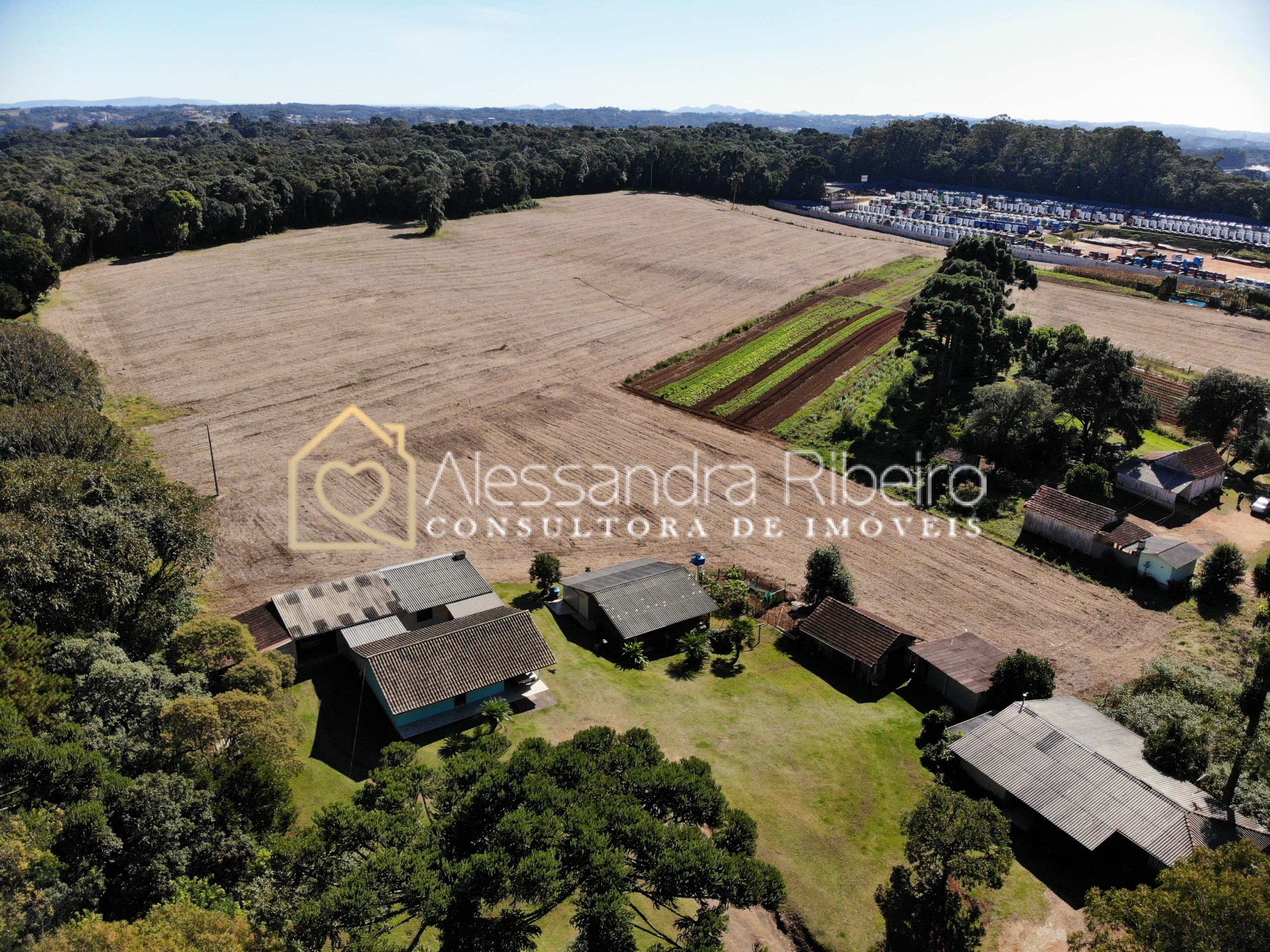 DJI_0494