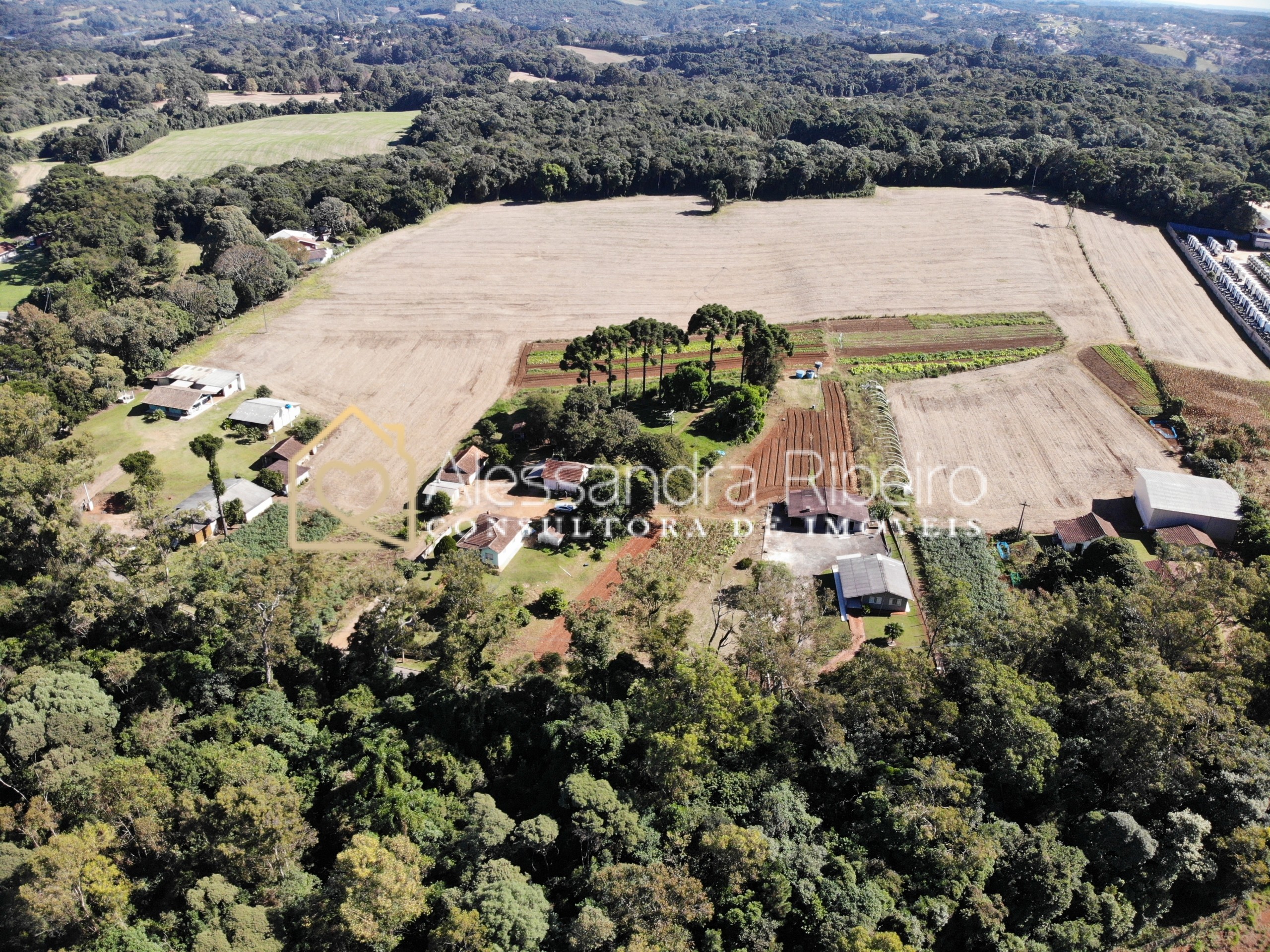 DJI_0496