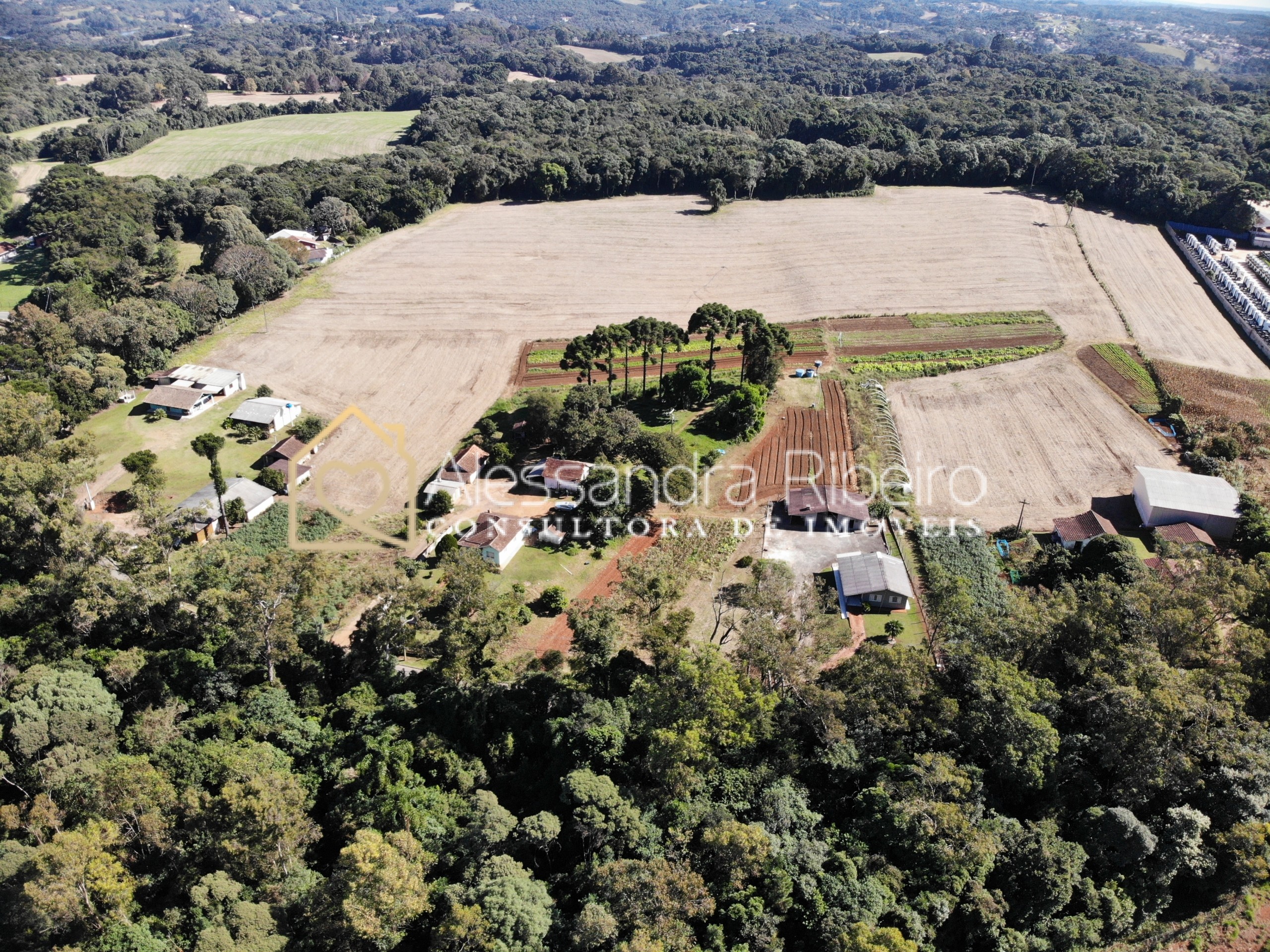 DJI_0497