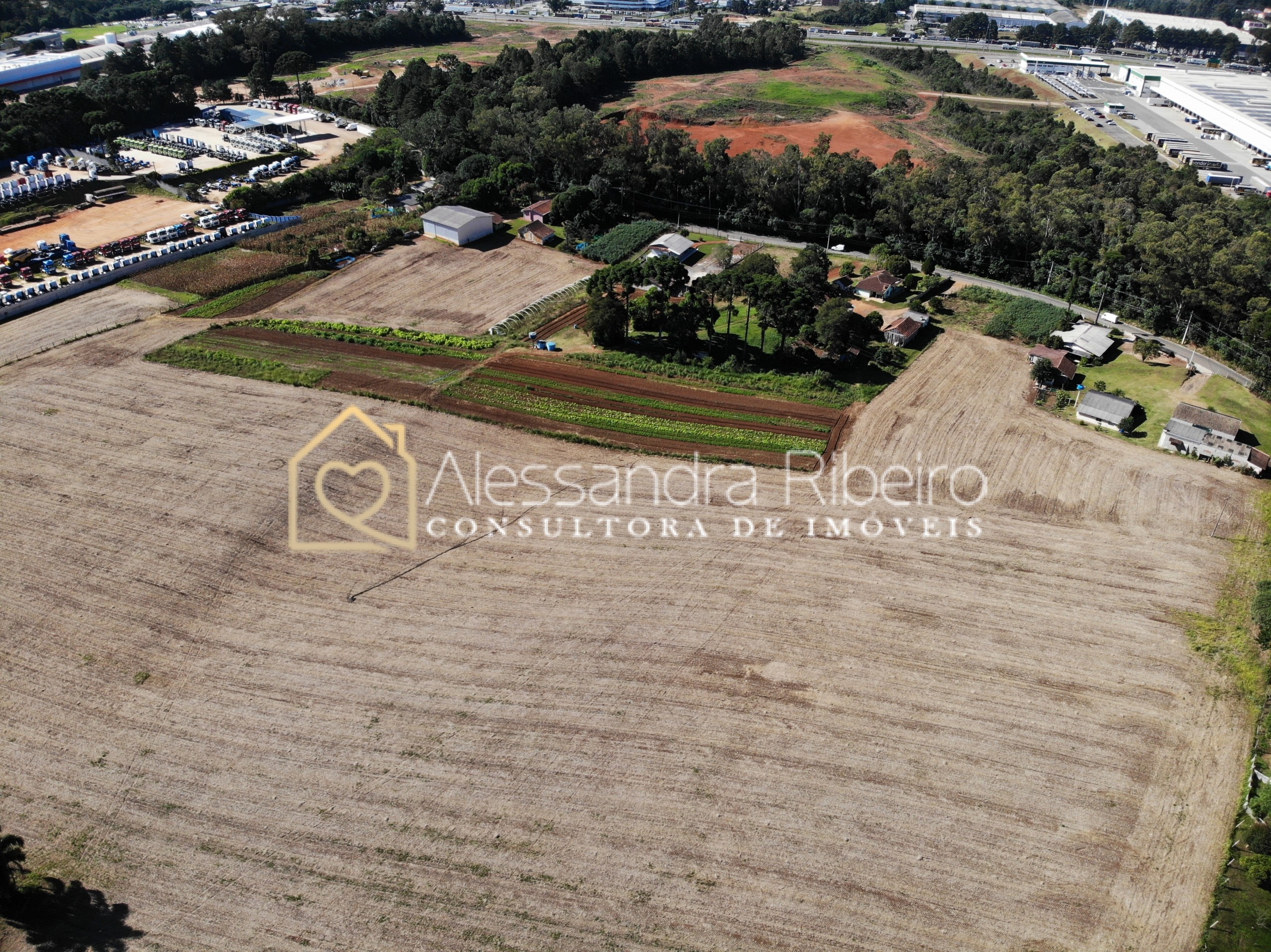 DJI_0503