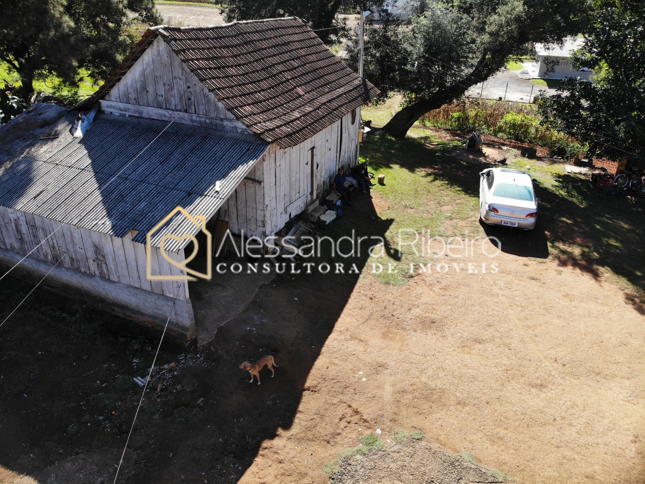 DJI_0505